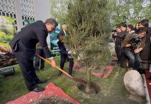 Embassy holds Tree Plantation event