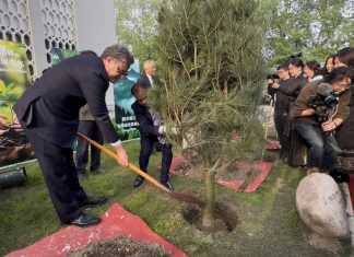 Embassy holds Tree Plantation event