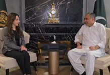 In meeting with US envoy, Naqvi discusses diplomatic efforts for second round of talks