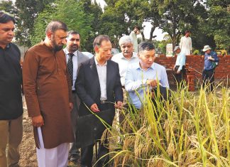 Beijing, Hanoi vow to boost ties