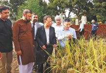 Pakistan-China project yields satisfactory results