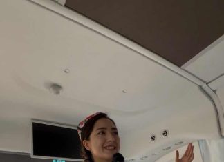 Xinjiang tour guide whose video went viral wishes to visit Taiwan