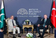 PM, leaders of Turkiye, Qatar discuss regional developments