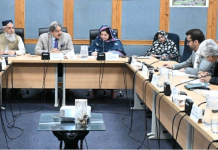 Senate Panel orders swift absorption of Pak PWD employees