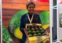 Commerce without constraints