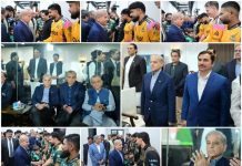 PM Shehbaz watches PSL 11 final