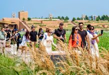 Henan welcomes int’l storytellers to experience culture & trends
