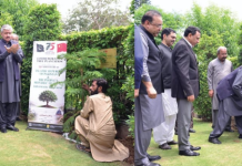 NHA holds tree plantation ceremony marking Pak-China diplomatic ties