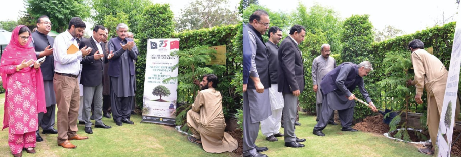 NHA holds tree plantation ceremony marking Pak-China diplomatic ties