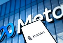 Behind the Prohibition of Foreign Investment in the Manus Acquisition