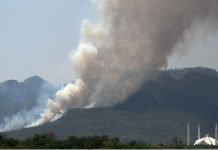 Fire erupts at 3 points in Margalla Hills