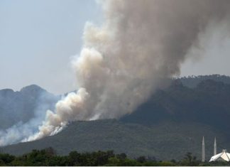 Fire erupts at 3 points in Margalla Hills