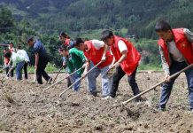 In foreigners’ eyes: What galvanizes young people in a changing China