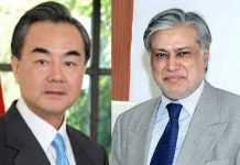 Dar, Wang Yi reaffirm support for regional peace & stability
