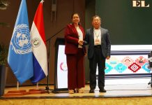 Chinese ecologist elected Chair of UNESCO program