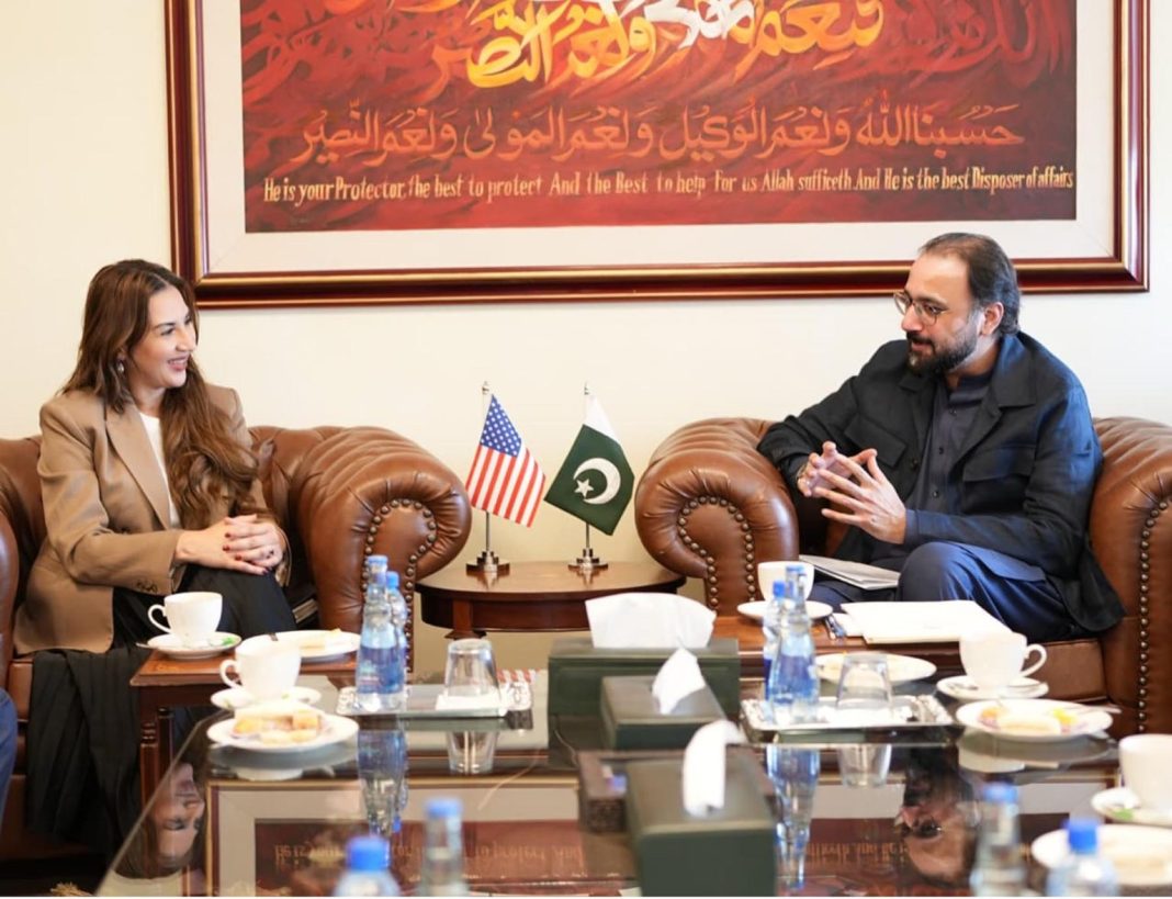 Pakistan, USA reaffirm commitment to expand co-op in multiple sectors