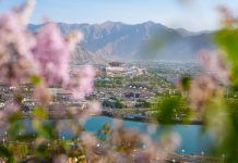 How an impossible afforestation project took root in Xizang
