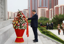 Xi, Kim pledge to carry forward traditional China-DPRK friendship