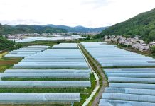 China issues 5-year plan for Agri, rural modernization