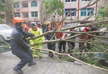 Typhoon Bavi wreaks havoc across nation’s eastern coast
