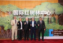 New center to boost global ecological governance
