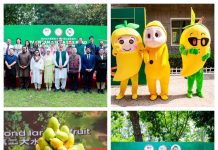 Pakistan embassy organizes Mango Festival