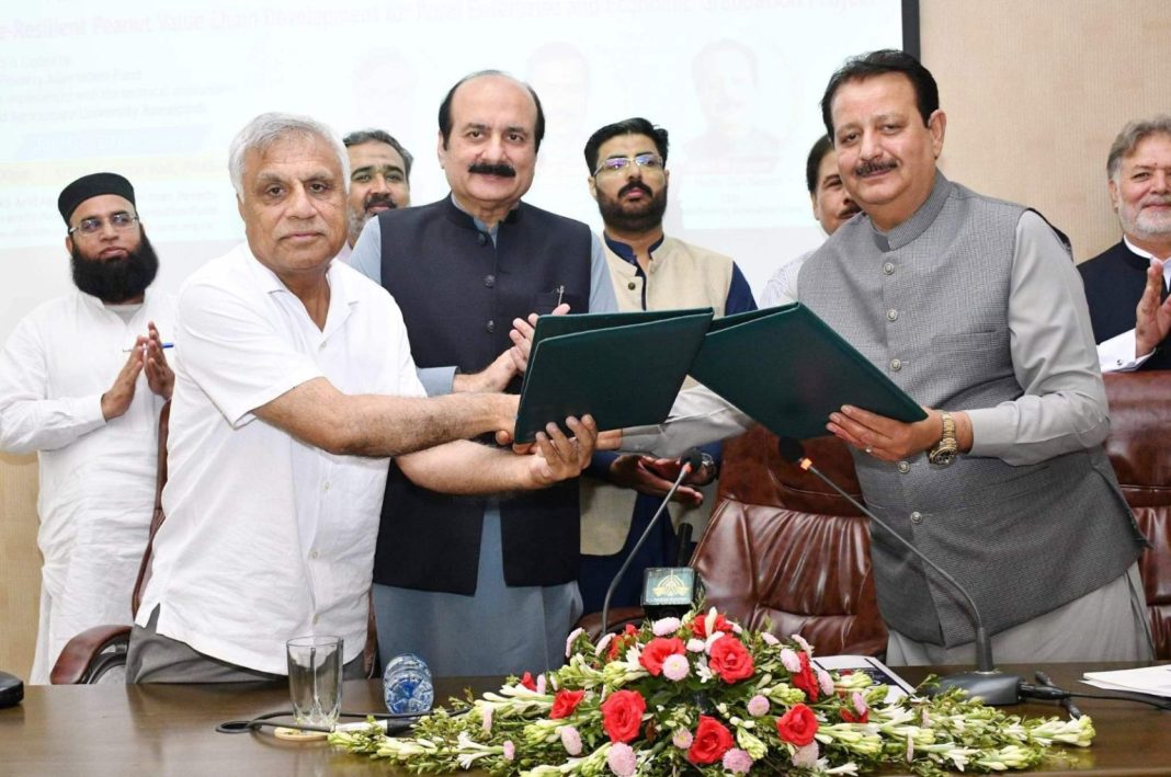 PMYP, PPAF, Arid Uni join hands to transform peanut economy