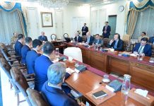 Shehbaz welcomes Chinese investment to modernize Pakistan’s grain storage