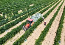 Once-barren region now a growth hub