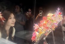 Zibo’s cultural boom fuels consumption