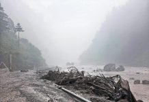 All-out rescue efforts urged