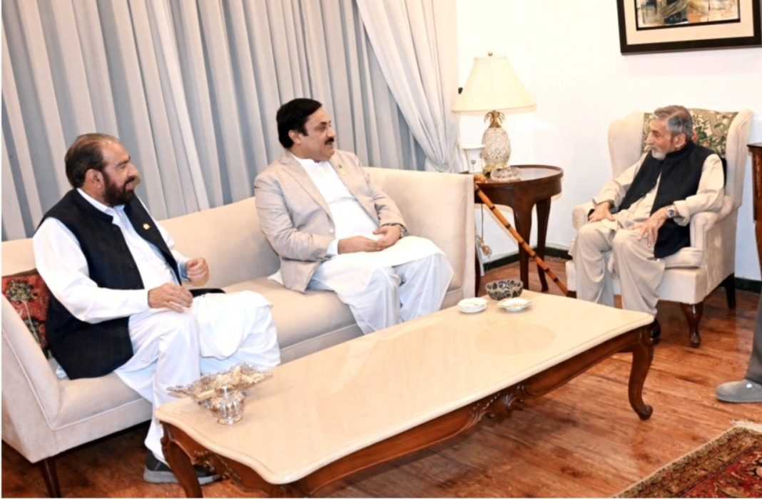 Deputy Chairman Senate meets Ghulam Ahmad Bilour