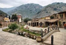 IWMB finds no trace of Lion at Saidpur Village