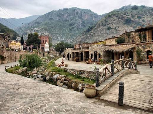 IWMB finds no trace of lion at Saidpur village