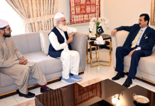 Pir Muhammad Amin-ul-Hasnat Shah calls on Chairman Senate