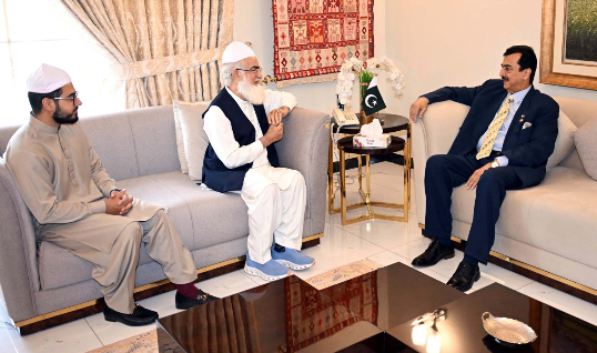 Pir Muhammad Amin-ul-Hasnat Shah calls on Chairman Senate