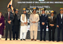 SMEs play pivotal role in national progress, empower youth: Syedal Khan Nasir
