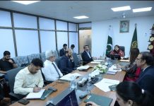 Shaza chairs joint meeting of heads of IT training institutions