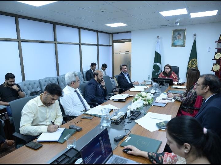 Shaza chairs joint meeting of heads of IT training institutions