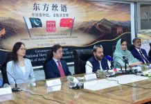 Language, cultural exchange key to strengthening Pak-China ties: Khichi