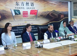 Language, cultural exchange key to strengthening Pak-China ties: Khichi