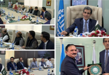 Awn Chaudhry hails WWF’s record revenue, seeks stronger reforms