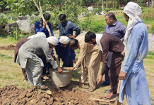 CDA launches tree plantation drive to make Islamabad greener