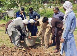 CDA launches tree plantation drive to make Islamabad greener