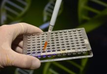 China’s security ministry warns of genetic resource theft and cross-border biosecurity risks