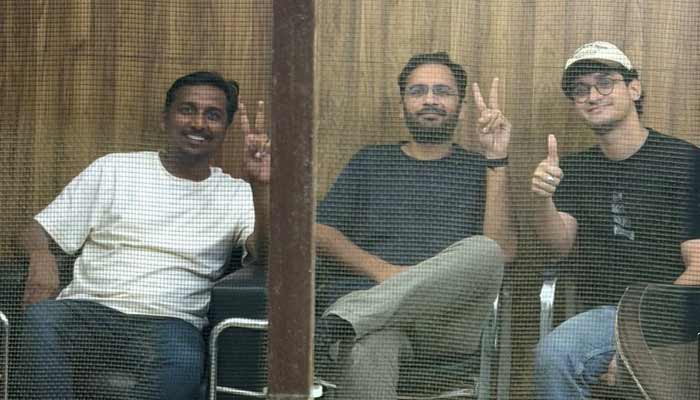 India's 'cockroach' movement leaders detained in jail for five days, says party