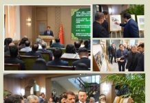 Embassy in Beijing Commemorates Kashmir Black Day