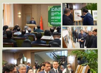 Embassy in Beijing Commemorates Kashmir Black Day